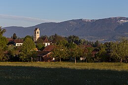 Lüsslingen – Veduta