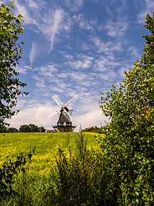 Agersø Saar