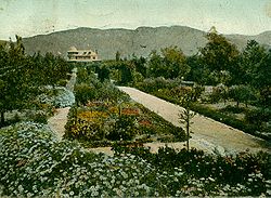 postcard ca. 1900