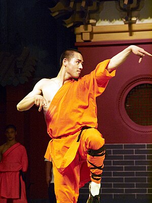 A shaolin student doing a kung fu moves.