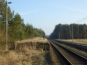 Der Bahnsteig des 1998 stillgelegten Bahnhofs Hohenschöpping von Norden betrachtet. Links vom Bahnsteig Baumbewuchs auf der Trasse des 1945 demontierten Gleises, rechts vom Bahnsteig das heute benutzte Gleis, ganz rechts das Werksgleis der Firma Bombardier mit Stromschiene und Oberleitung
