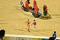 2008年夏季奥林匹克运动会马术比赛－个人场地障碍赛决赛