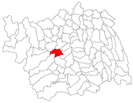 Kaart van Berzunți