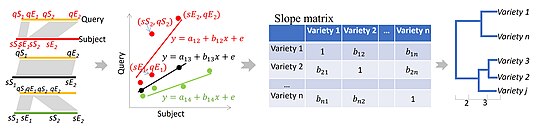 Clustering via Large Indel Permuted Slopes, CLIPS, turns the alignment image into a learning regression problem. The varied slope (b) estimates between each pair of DNA segments enables to identify segments sharing the same set of indels. CLIPS.jpg