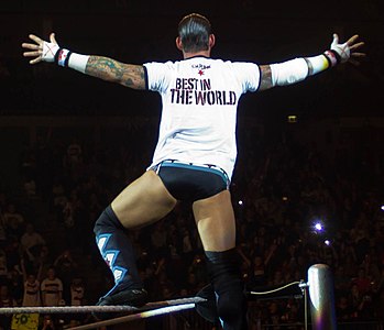 CM Punk