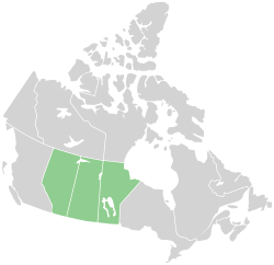 Praterie canadesi - Localizzazione
