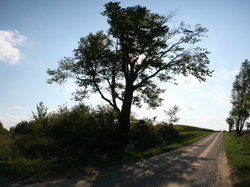 County Road 600 North at Ellis, once a stop along the now-defunct railroad.