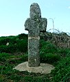 Fig. d21a: Tremethick Cross