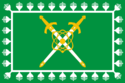 Flag of Lesnoy