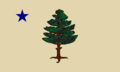 Bandera de 1901