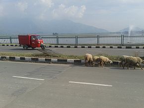 Foreshore Road on the banks of Dal Lake 2014-08-23 11-00.jpg