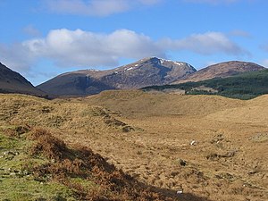 Hummocky terrain, Dalrigh - geograph.org.uk - 358154.jpg