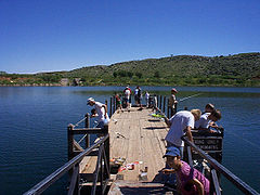 The Small Fry fishing tournament in the Stilling Basin at Lake Meredith