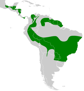 Distribución geográfica del orejero coronipardo.