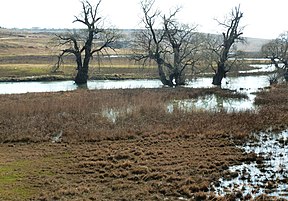 Die Liebenbergsvlei buite Bethlehem