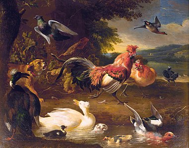 Poules et Canards, 1660-1690 Mauritshuis.