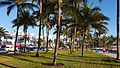 Ocean Drive and Lummus Park