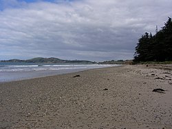 The beach at Hampden looking south