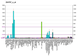 PBB GE FEN1 204767 s at fs.png