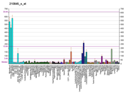 PBB GE PLAUR 210845 s at fs.png