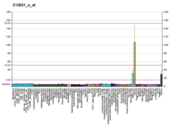 PBB GE PTGER3 210831 s в формате fs.png