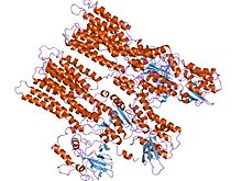 PDB 1mhs EBI.jpg