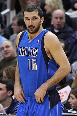 Stojaković als Spieler der Dallas Mavericks (2011)