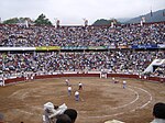 Miniatura para Plaza Monumental de Toros de Pueblo Nuevo