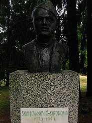 Саво Јовановић Сирогојно, народни херој