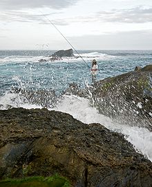 Taiwan 2009 East Coast ShihTiPing Giant Stone Steps Fishing FRD 6627.jpg