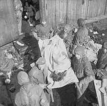 The liberation of Bergen-Belsen concentration camp, April 1945 The Liberation of Bergen-belsen Concentration Camp, April 1945 BU4195.jpg