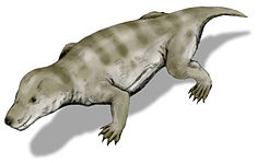 Memelilerin atalarından birisi olan Thrinaxodon canlandırması