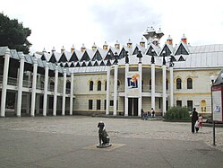 Voronežan valdkundaline tätüižteatr (2013)