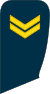 05-Lithuania Air Force-SGT.svg