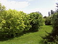 Parc du Couloumé, AUCH