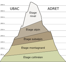 Schéma montrant les différents étages montagneux de végétation, en fonction de leur orientation.