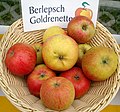 Sortenkorb mit Berlepsch Goldrenetten