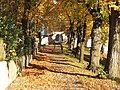 Herbstliche Allée zur St.-Georgs-Kirche, 2006