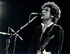 Bob Dylan 1991.jpeg