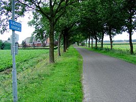 De Burgemeester Buiskoolweg in Over de Dijk