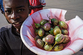 Tamarillo