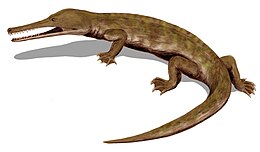 A Champsosaurus rekonstrukciója