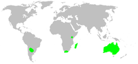 Miniatura per Llista d'espècies de gal·lienièl·lids