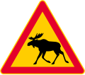 Animals (Elk)