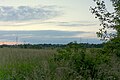 Abendstimmung im "Füllenbruch" in Herford