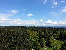 Vue en direction du nord et du sommet (lisière de forêt) depuis la tour Hagen