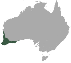 תפוצתו של הצופון ביבשת אוסטרליה