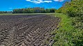 Im Wald Mörderkoppel fließt die Hunau