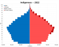 Image 28Native Argentines population pyramid in 2022. (from Indigenous peoples in Argentina)