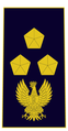 Distintivo di qualifica per controspallina di ispettore capo della Polizia di Stato in uso dal 2019.